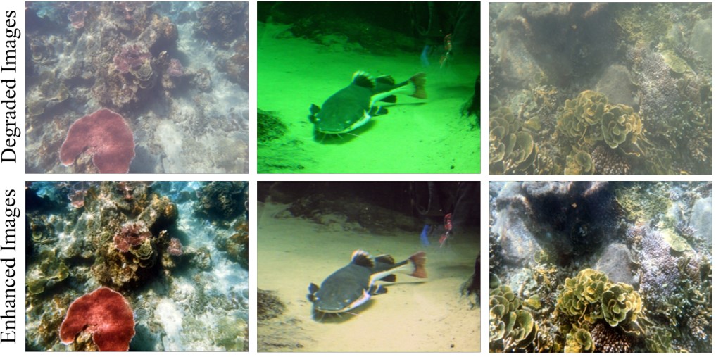 Enhanced underwater image 2