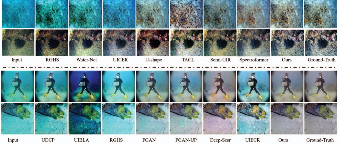 Enhanced underwater image 1